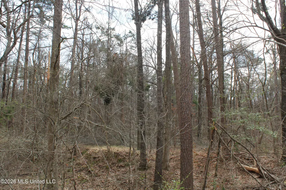 62 County Road 198 Oxford, MS 38655