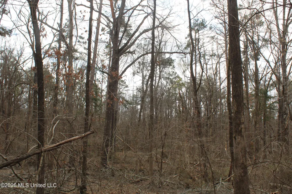 62 County Road 198 Oxford, MS 38655