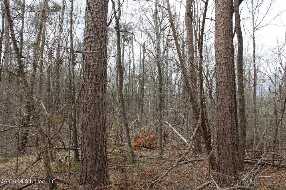 62 County Road 198 Oxford, MS 38655