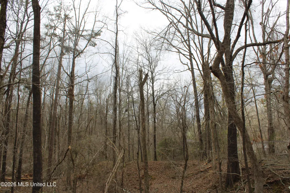 62 County Road 198 Oxford, MS 38655