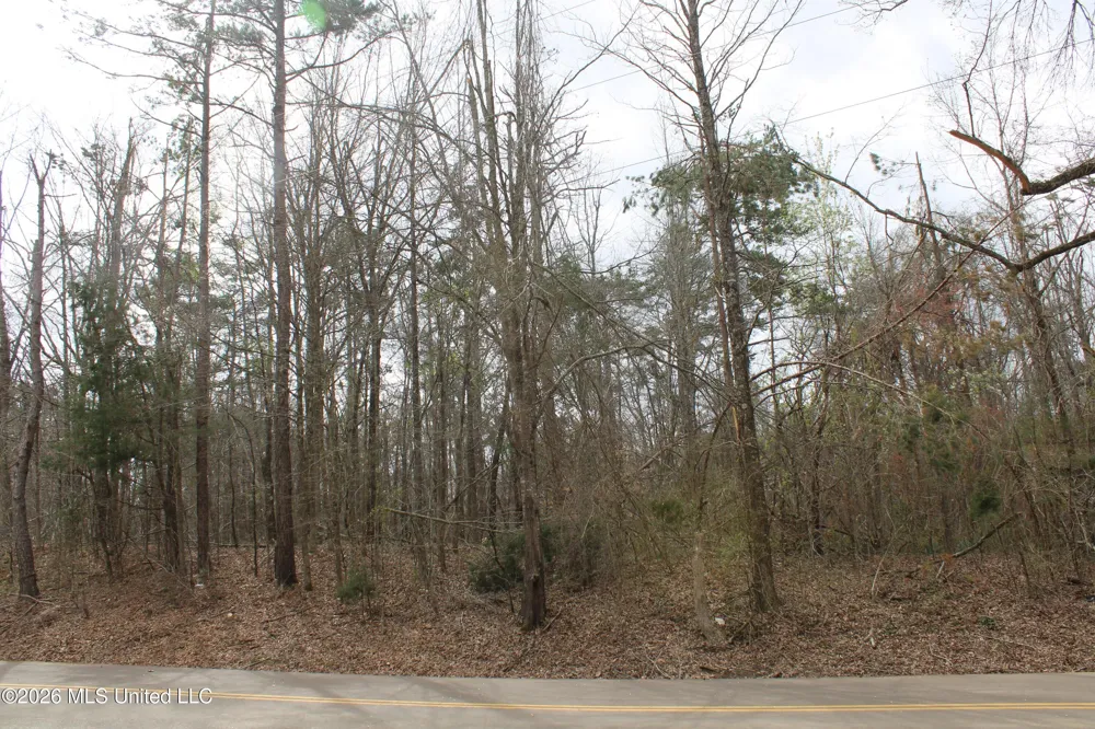 62 County Road 198 Oxford, MS 38655
