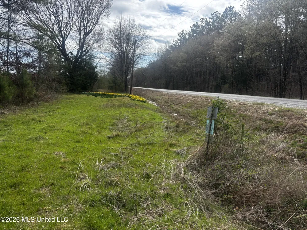 002 Reed Road Starkville, MS 39759