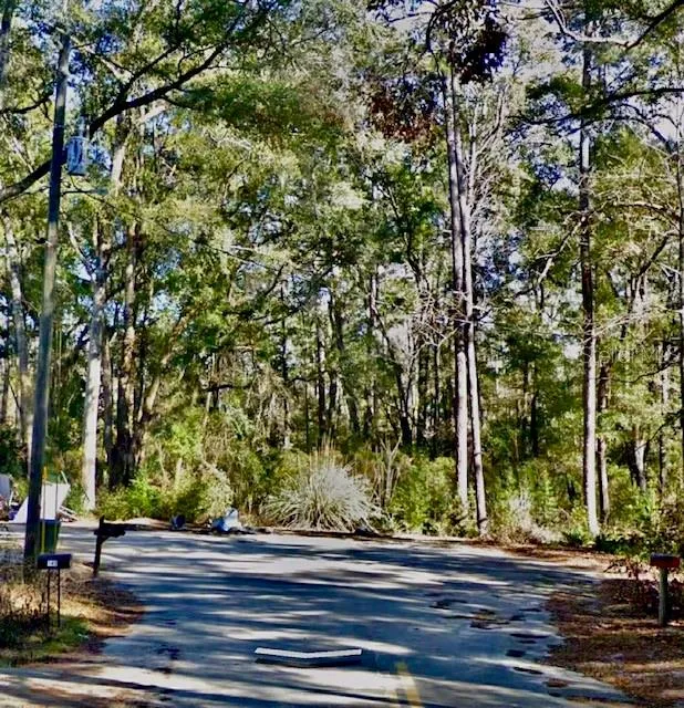 CHIPPEWA COURT Havana, FL 32333