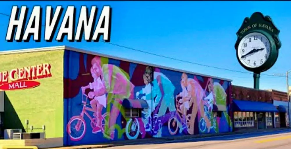CHIPPEWA COURT Havana, FL 32333