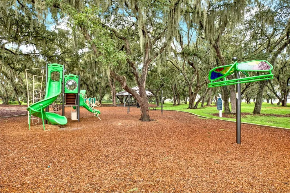 13113 WILDFLOWER MEADOW DRIVE Riverview, FL 33579