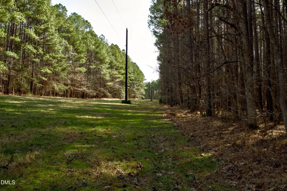 7023 Southern Trail Chapel Hill, NC 27516
