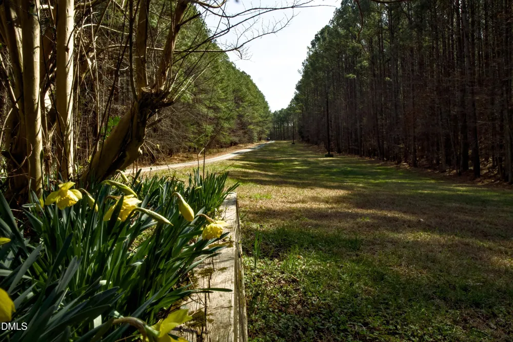 7023 Southern Trail Chapel Hill, NC 27516