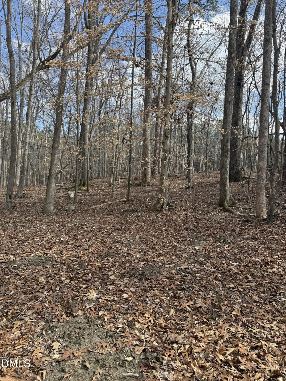 0 Hillcrest Lane Littleton, NC 27850