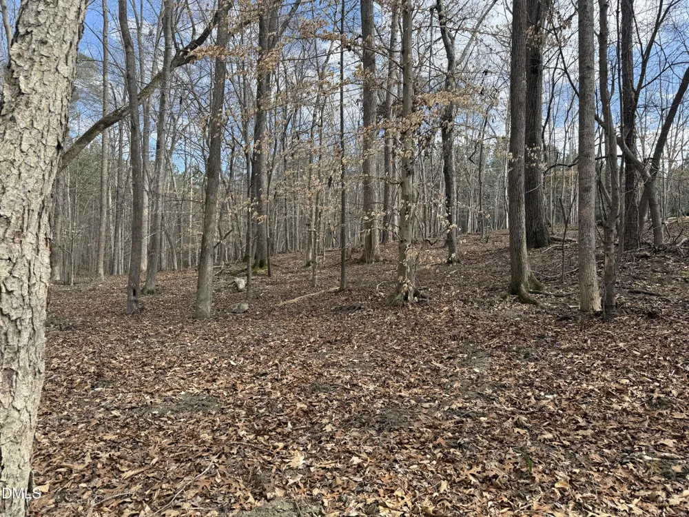 0 Hillcrest Lane Littleton, NC 27850