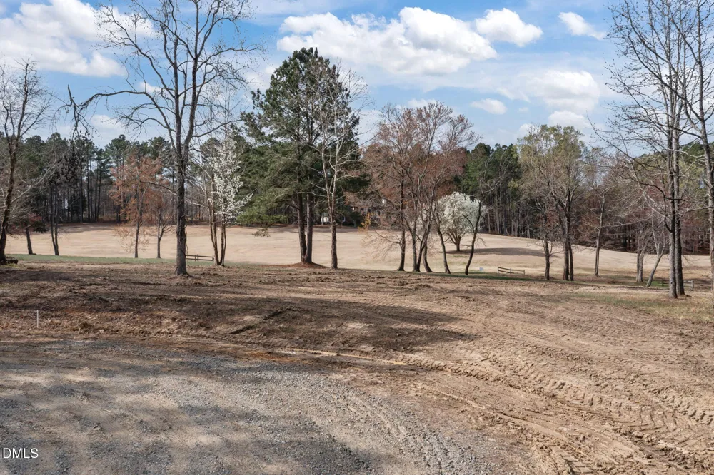 54 Caswell Pines Clubhouse Drive Blanch, NC 27212
