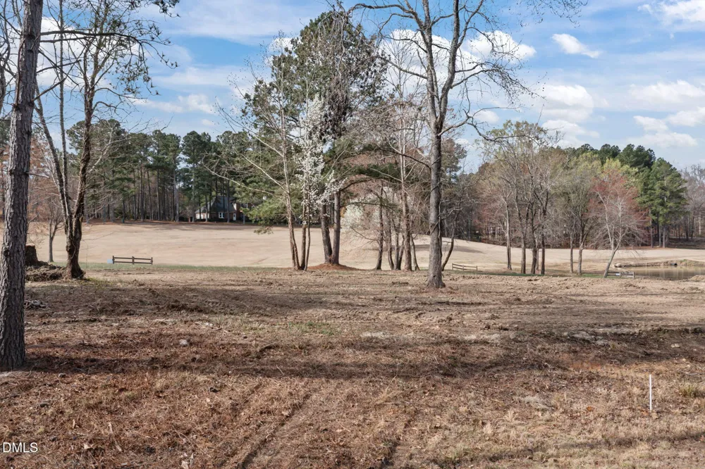 54 Caswell Pines Clubhouse Drive Blanch, NC 27212