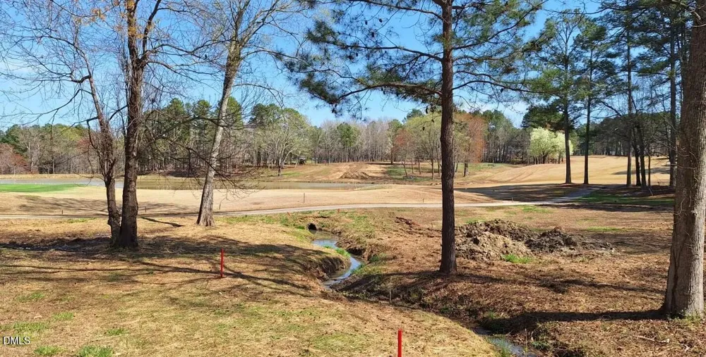 54 Caswell Pines Clubhouse Drive Blanch, NC 27212