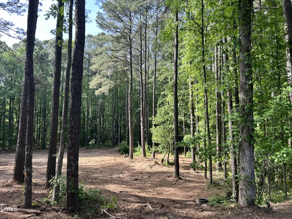 1123 Wake Robin Lane Cary, NC 27519