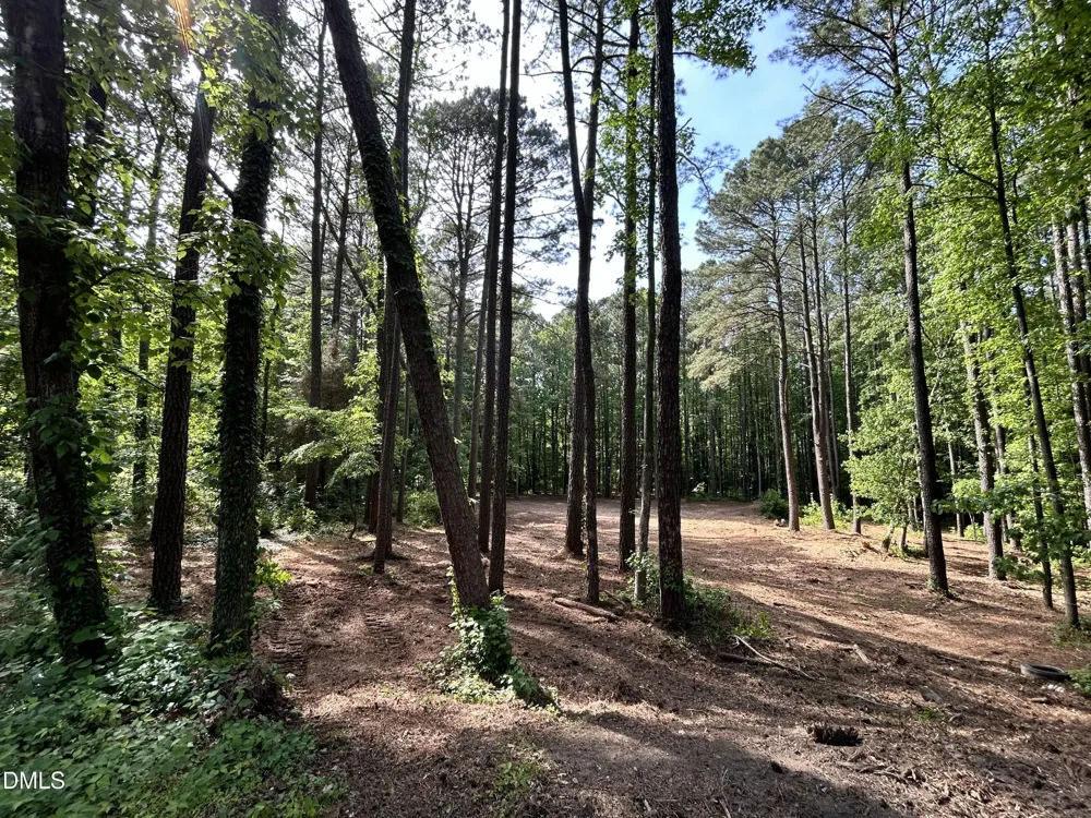 1123 Wake Robin Lane Cary, NC 27519