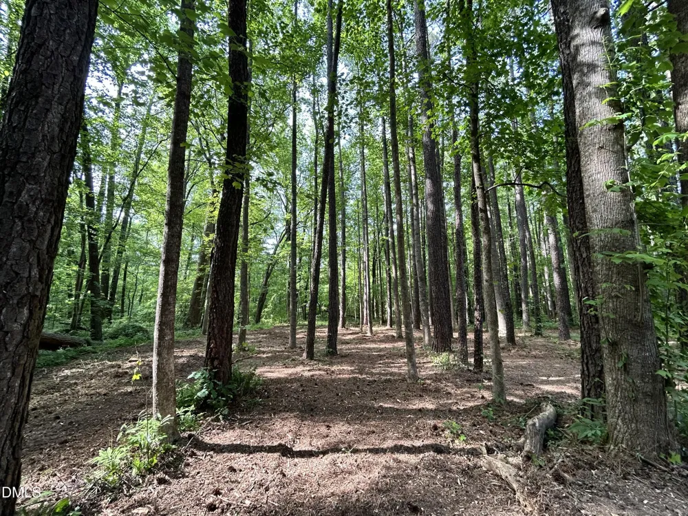 1123 Wake Robin Lane Cary, NC 27519