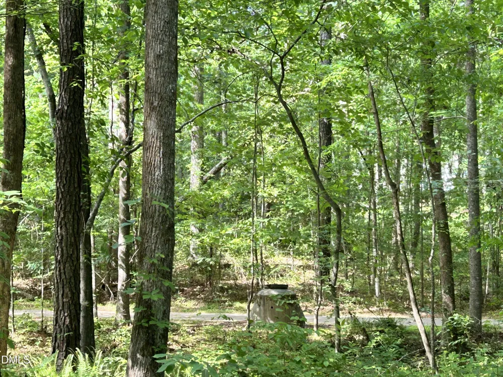1123 Wake Robin Lane Cary, NC 27519