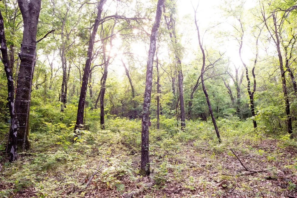 E 81st Street Fort Gibson, OK 74434