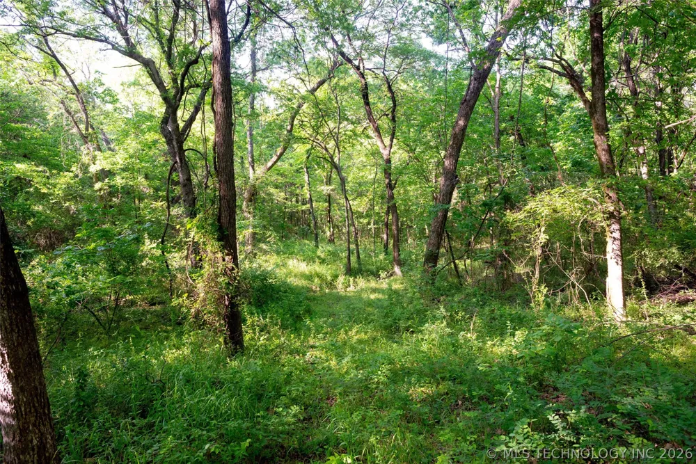 E 81st Street Fort Gibson, OK 74434