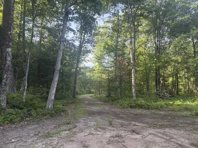 4802 E 96th Street Newaygo, MI 49337