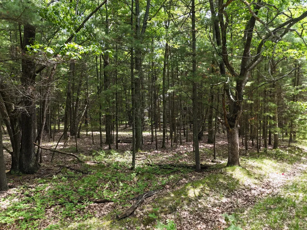 Meadow Wood Drive #40 Manistee, MI 49660