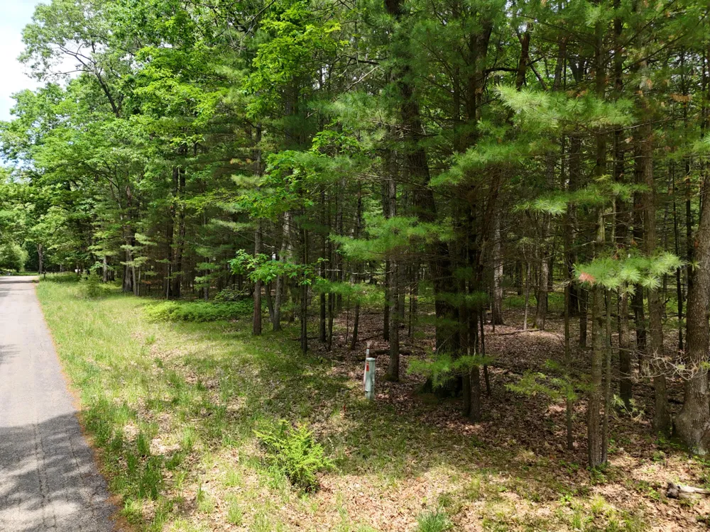 Meadow Wood Drive #40 Manistee, MI 49660