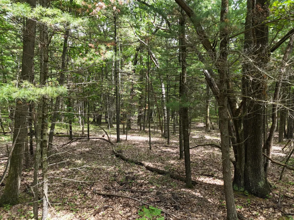 Meadow Wood Drive #40 Manistee, MI 49660