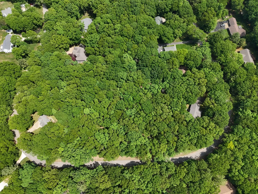 Meadow Wood Drive #40 Manistee, MI 49660