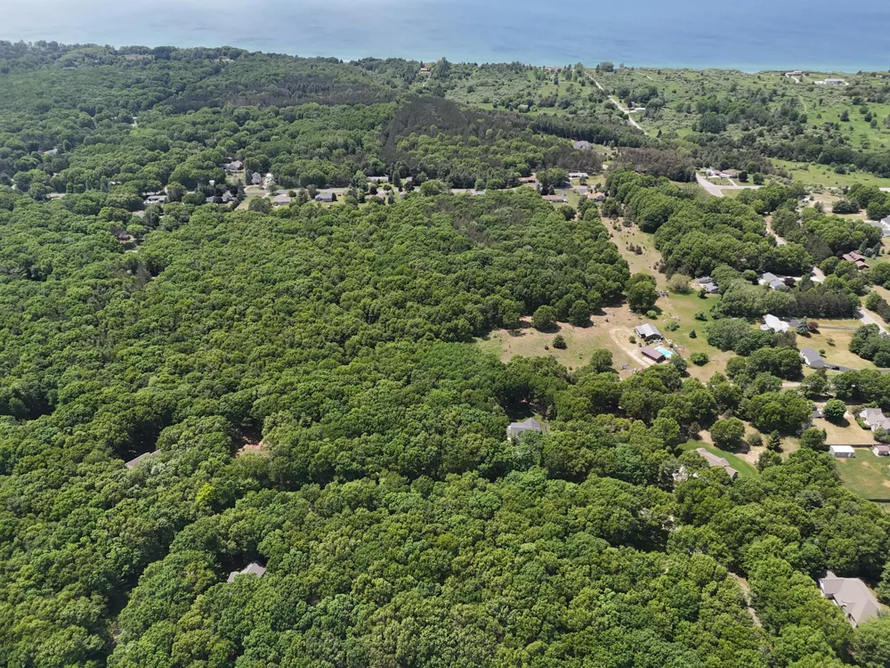 Meadow Wood Drive #40 Manistee, MI 49660