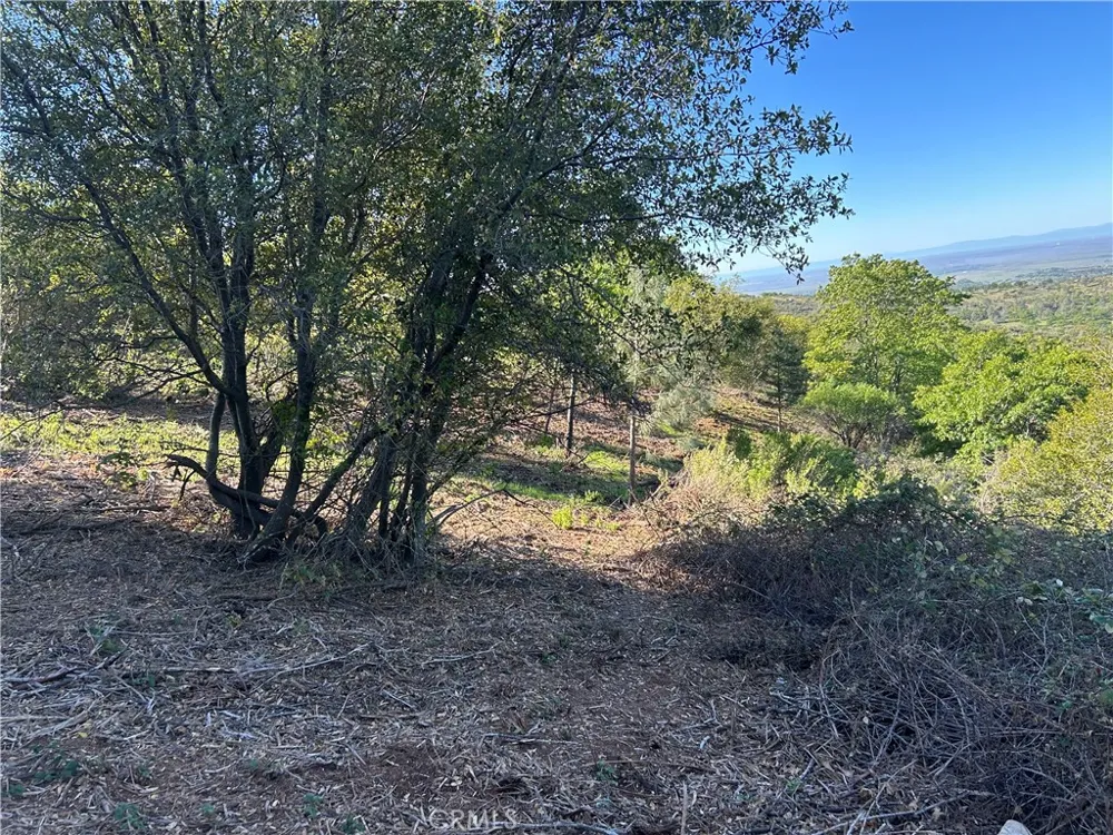 patengil Yankee Hill, CA 95965