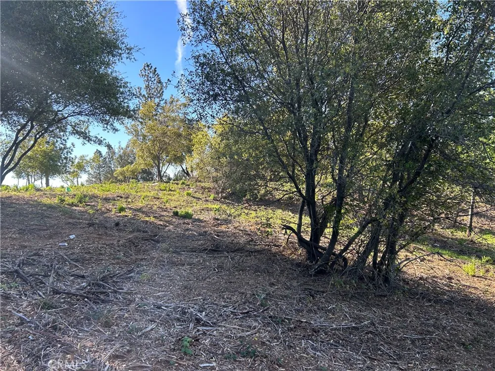 patengil Yankee Hill, CA 95965