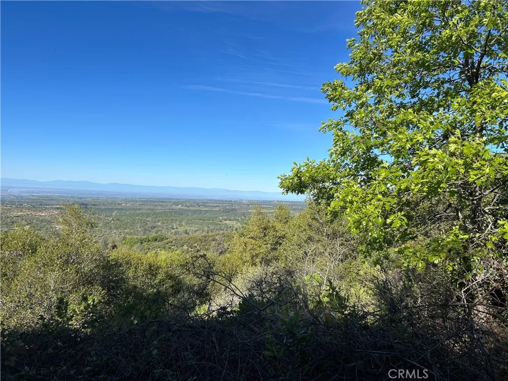 patengil Yankee Hill, CA 95965