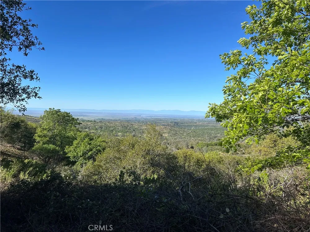 patengil Yankee Hill, CA 95965