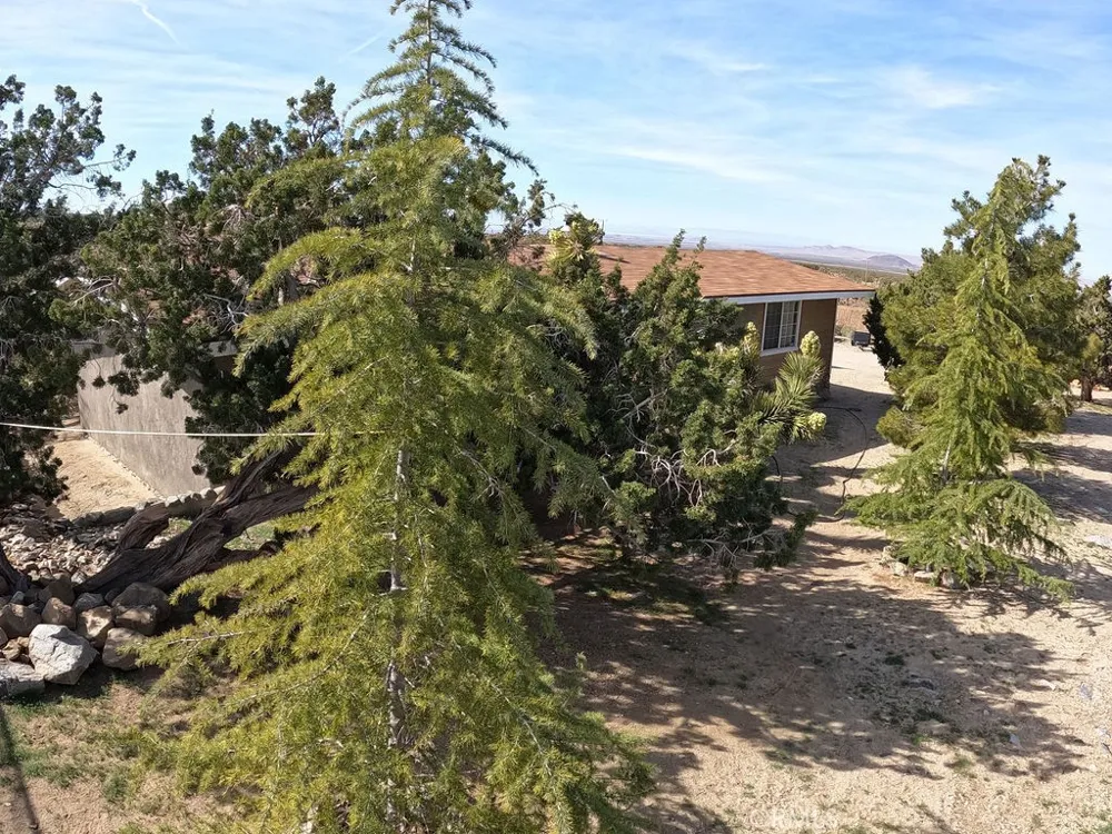 30000 Buchannon Ranch Road Llano, CA 93544