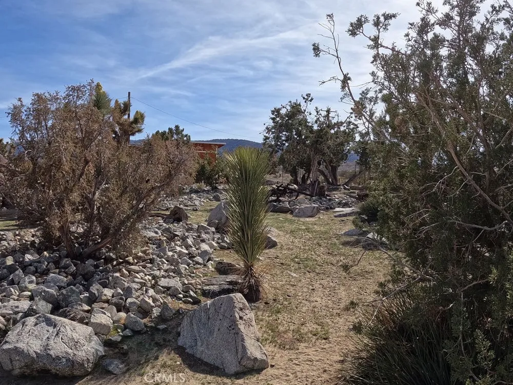 30000 Buchannon Ranch Road Llano, CA 93544