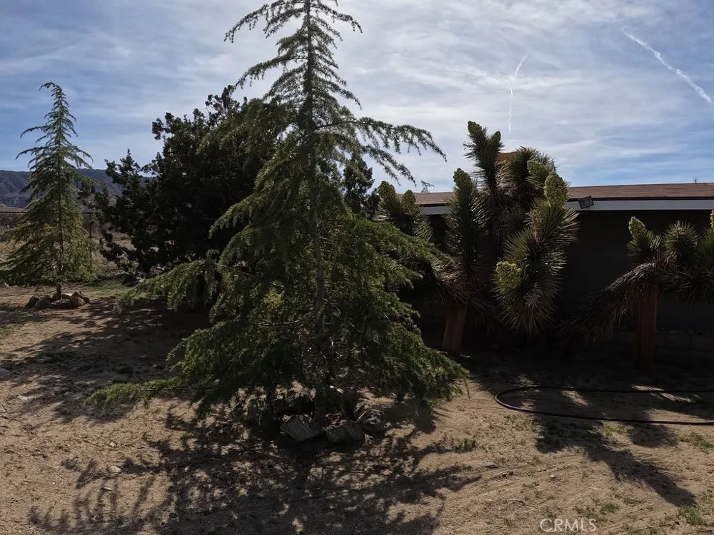 30000 Buchannon Ranch Road Llano, CA 93544