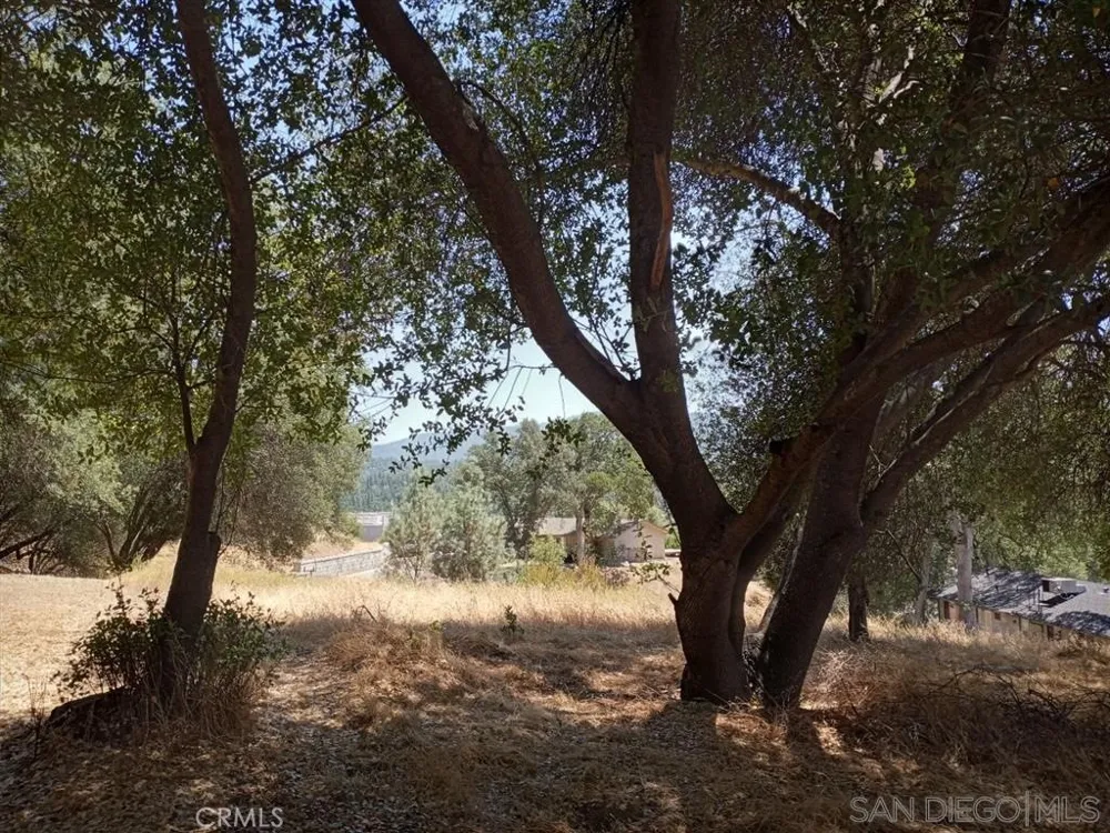 Live Oak Drive Oakhurst, CA 93644