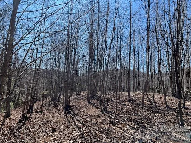 803254 Ivy Road #219 Mills River, NC 28759
