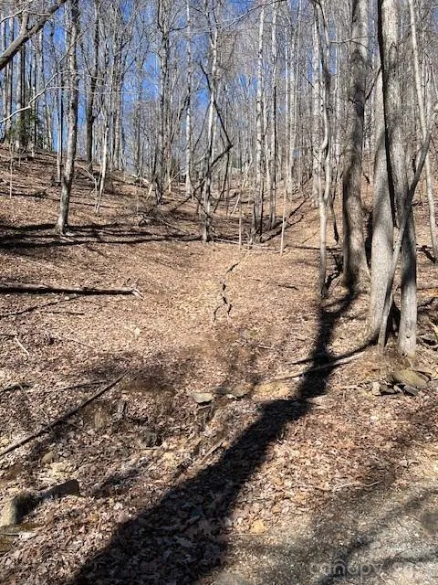 803254 Ivy Road #219 Mills River, NC 28759