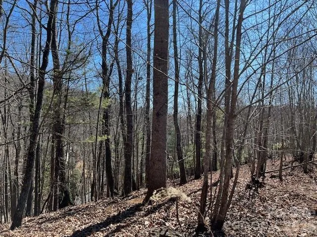 803254 Ivy Road #219 Mills River, NC 28759