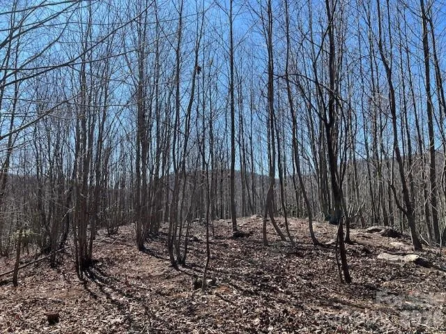 803254 Ivy Road #219 Mills River, NC 28759