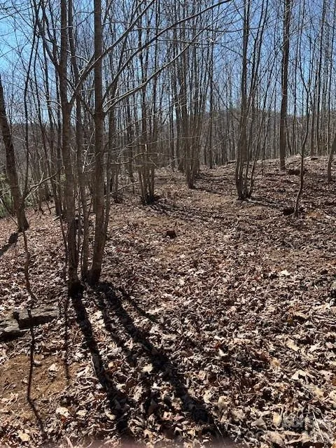 803254 Ivy Road #219 Mills River, NC 28759