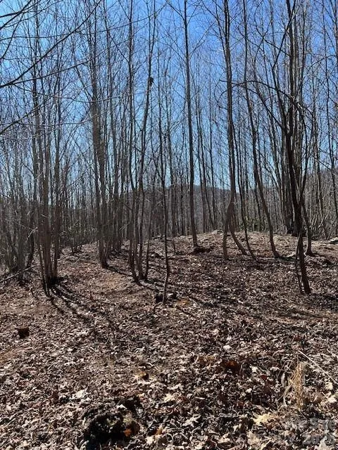 803254 Ivy Road #219 Mills River, NC 28759