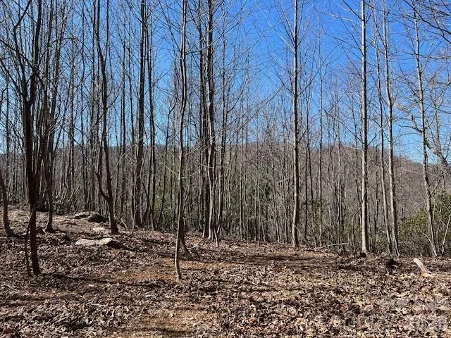 803254 Ivy Road #219 Mills River, NC 28759
