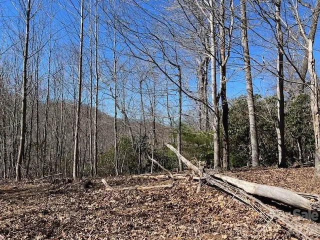 803254 Ivy Road #219 Mills River, NC 28759