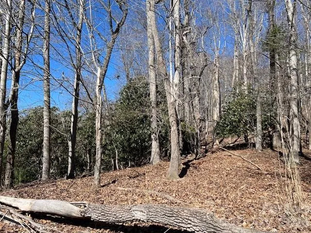 803254 Ivy Road #219 Mills River, NC 28759