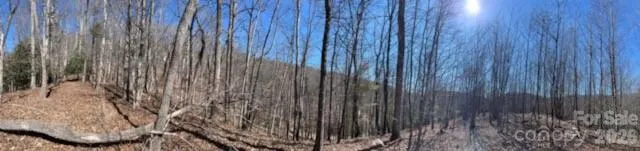803254 Ivy Road #219 Mills River, NC 28759