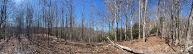 803254 Ivy Road #219 Mills River, NC 28759