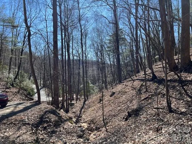 803254 Ivy Road #219 Mills River, NC 28759