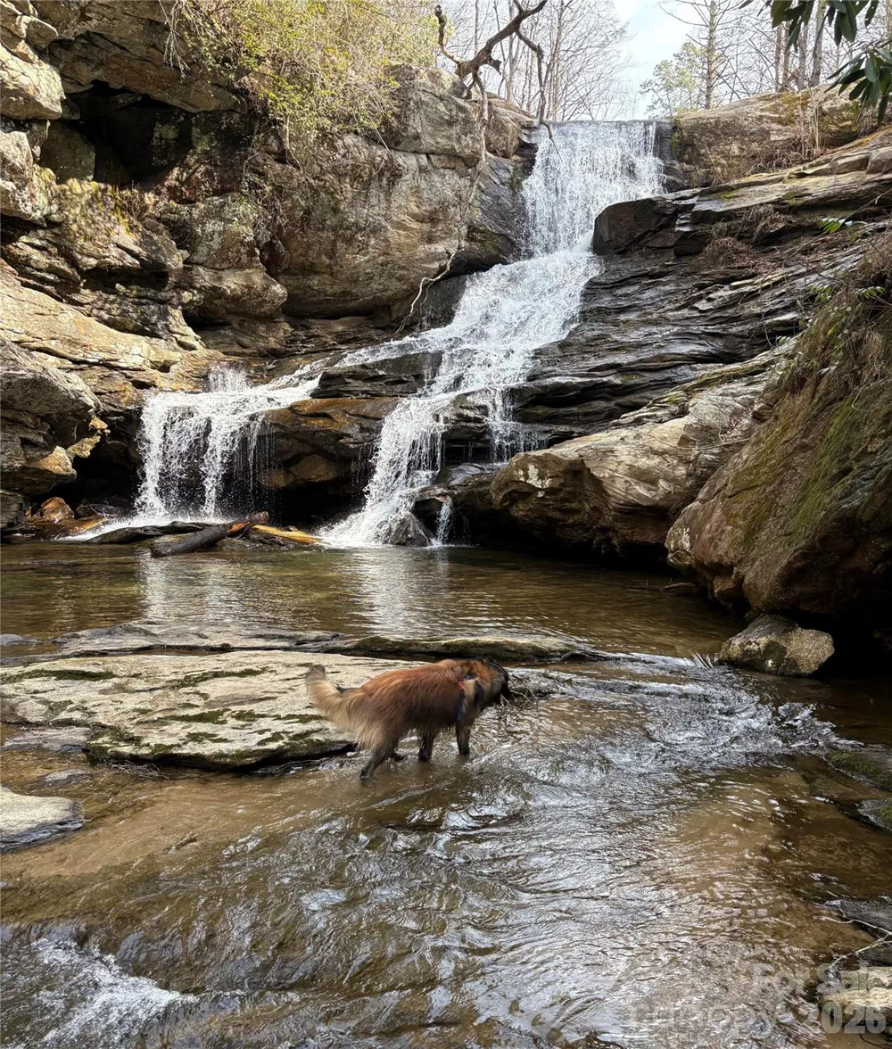 00000 Ashley Bend Trail #43 Hendersonville, NC 28792