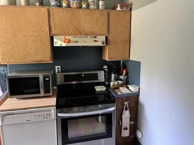 13191 Chicago Avenue Norman Township, MI 49689